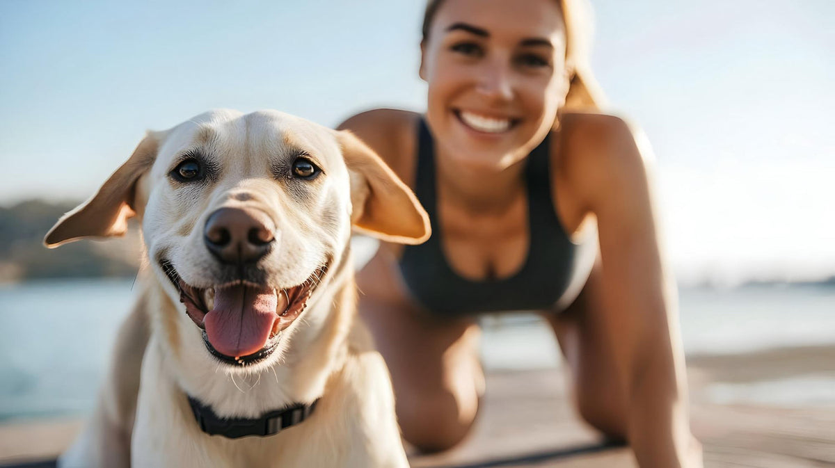 Best Probiotics for Dogs in Australia (2025 Vet-Reviewed Guide)