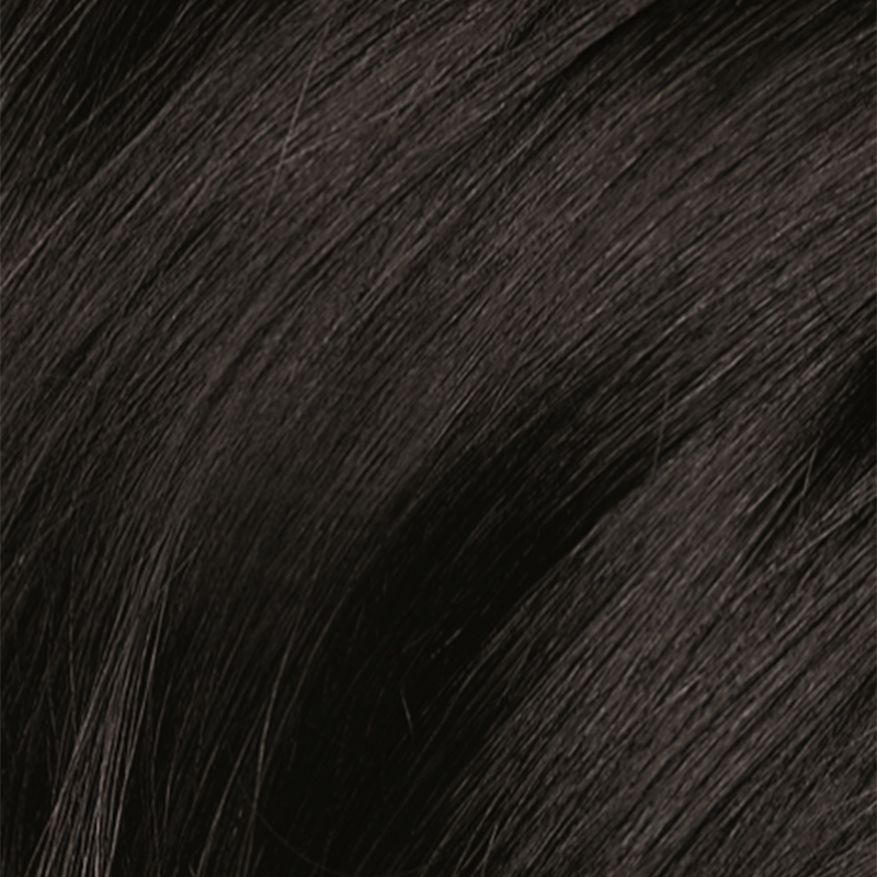 NaturTint 1N Ebony Black 170ml