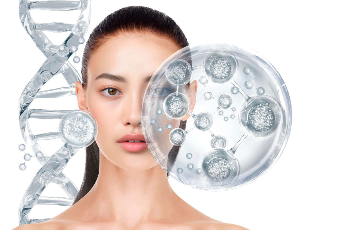 Understanding Collagen Types: Bovine vs Marine and How to Choose the Right One