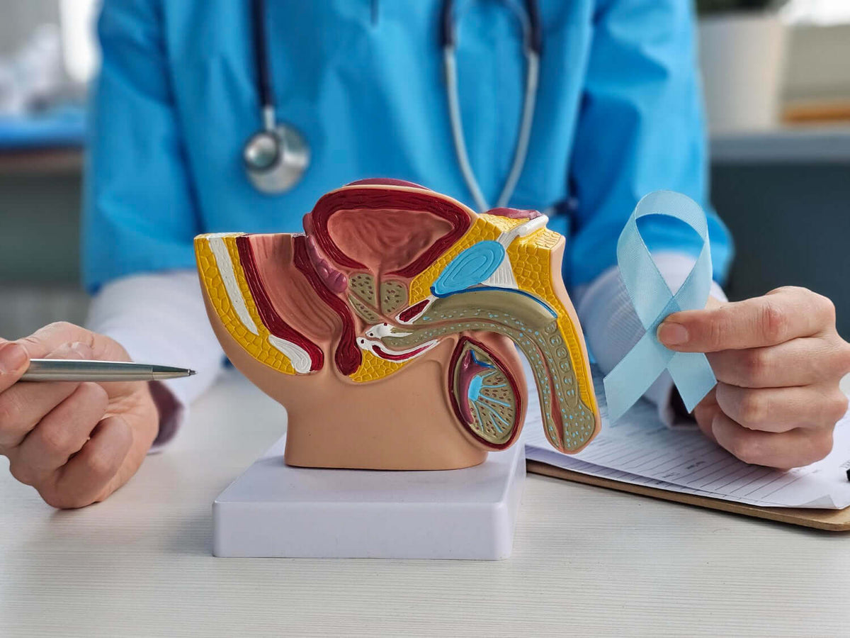 Men's Prostate & Bladder Health: Symptoms, Guide & Tracker (2026)