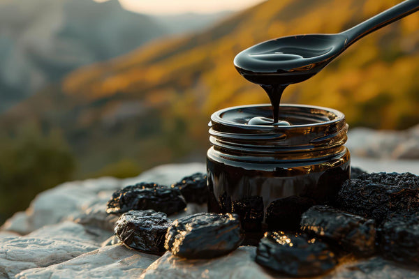 Explore the ultimate 2025 guide to Shilajit in Australia—covering purity, health benefits, legal status, and the best brands, curated by Eco Traders. article image