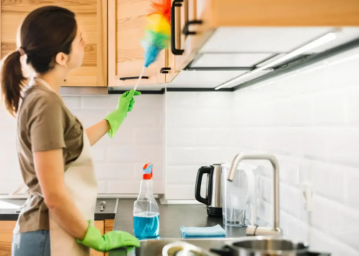 Embracing a Healthier Home: Simple Substitutes to Enhance Your Living Space