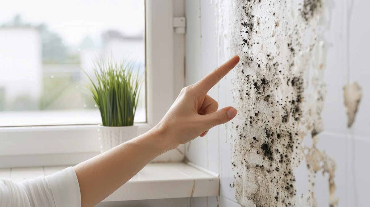 7 Natural Ways to Remove Mould & Mildew Without Harsh Chemicals