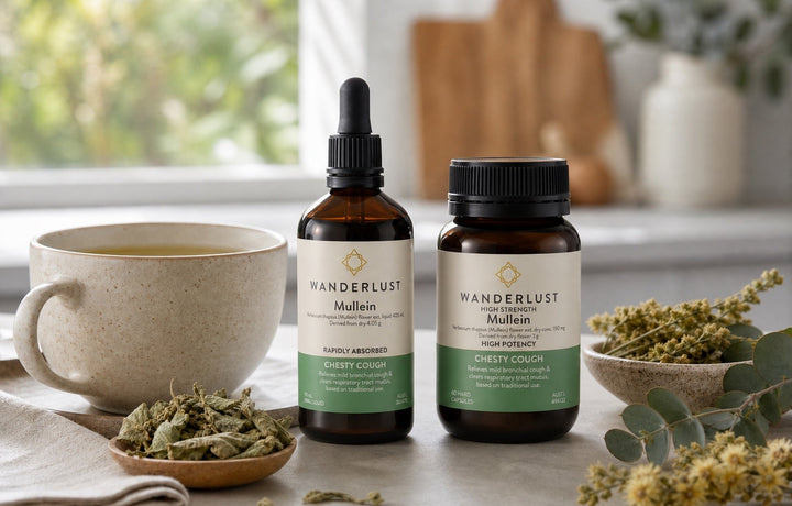Mullein tea with Wanderlust Mullein drops and High Strength Mullein capsules for format comparison article image