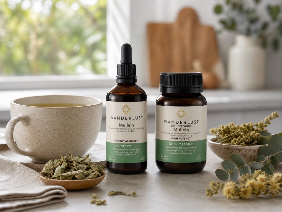 Mullein Tea, Drops or Capsules: Which Form Should You Choose for Winter Respiratory Support?