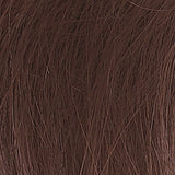 NaturTint Dark Chocolate Blonde 6.7 170ml shade or pack detail
