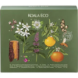 Koala Eco Gift Pack Clean & Safe Sanitiser, Hand Wash, Fruit Veg Wash 3 Pack