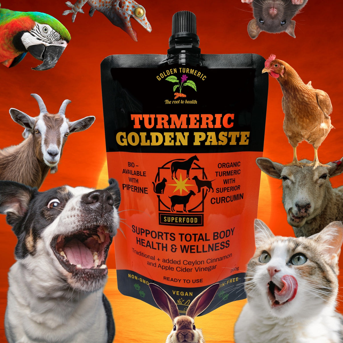 Golden Turmeric Golden Paste for Pets with assorted animals
