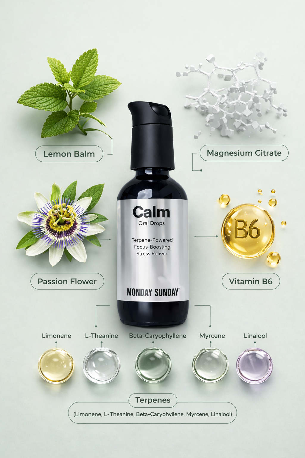 Monday Sunday Calm Oral Drops featured botanical and nutrient ingredients