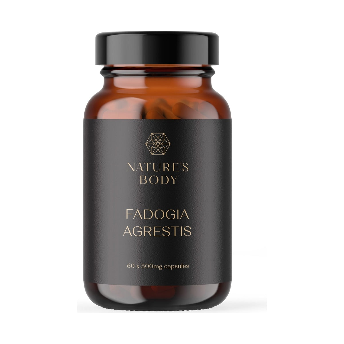 Nature's Body Fadogia Agrestis 10:1 500mg 60 Capsules front pack on white background