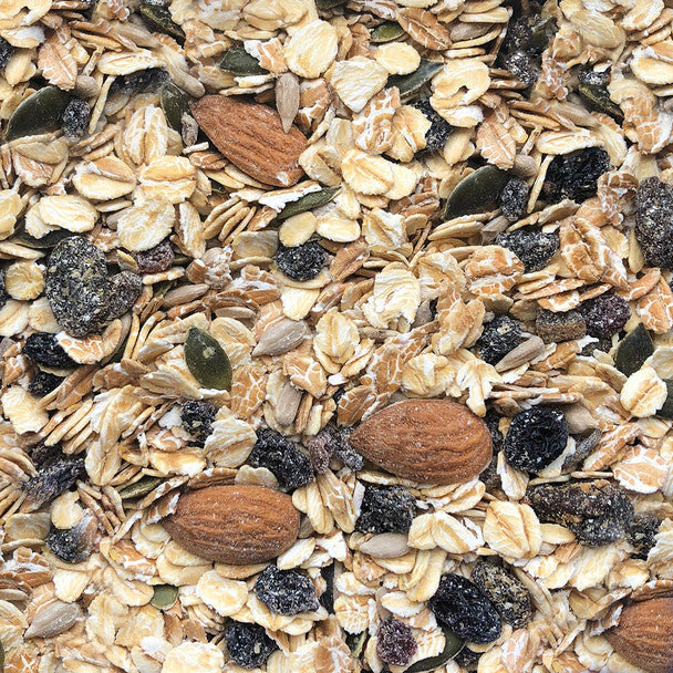 Honest to Goodness Sulphur Free Fruit & Nut Natural Muesli 500g