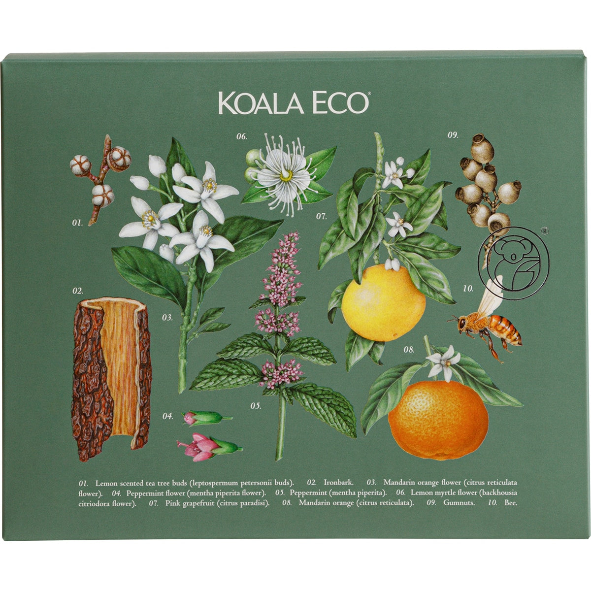 Koala Eco Home Gift Pack Hand Wash, Kitchen Cleaner & Dish Soap 3 Pack