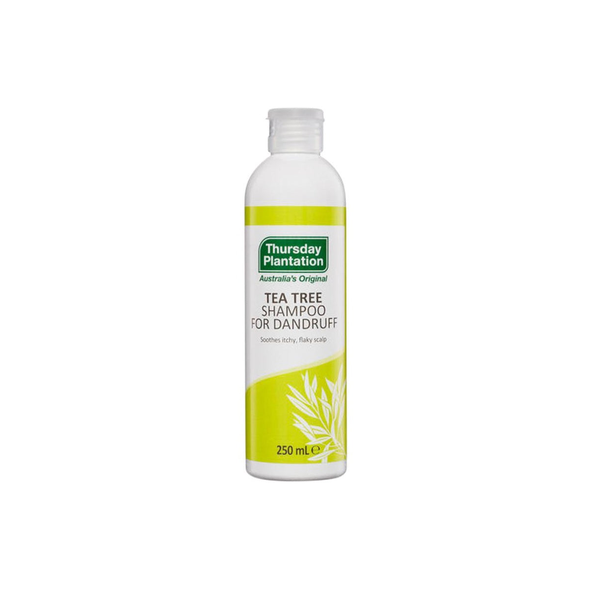 Thursday Plantation Tea Tree Shampoo for Dandruff 250ml front pack